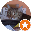 Stefano Vighi profile picture